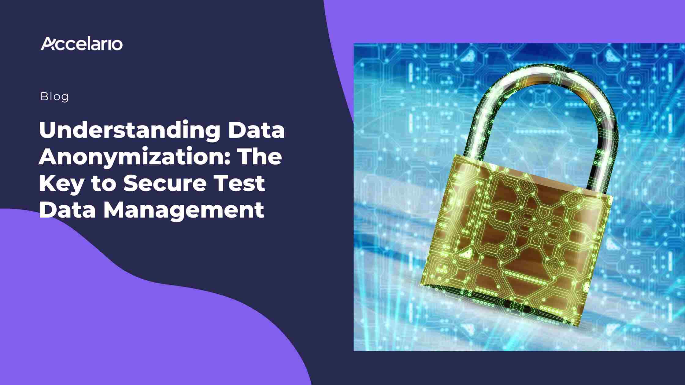 Understanding Data Anonymization: The Key to Secure Test Data Management