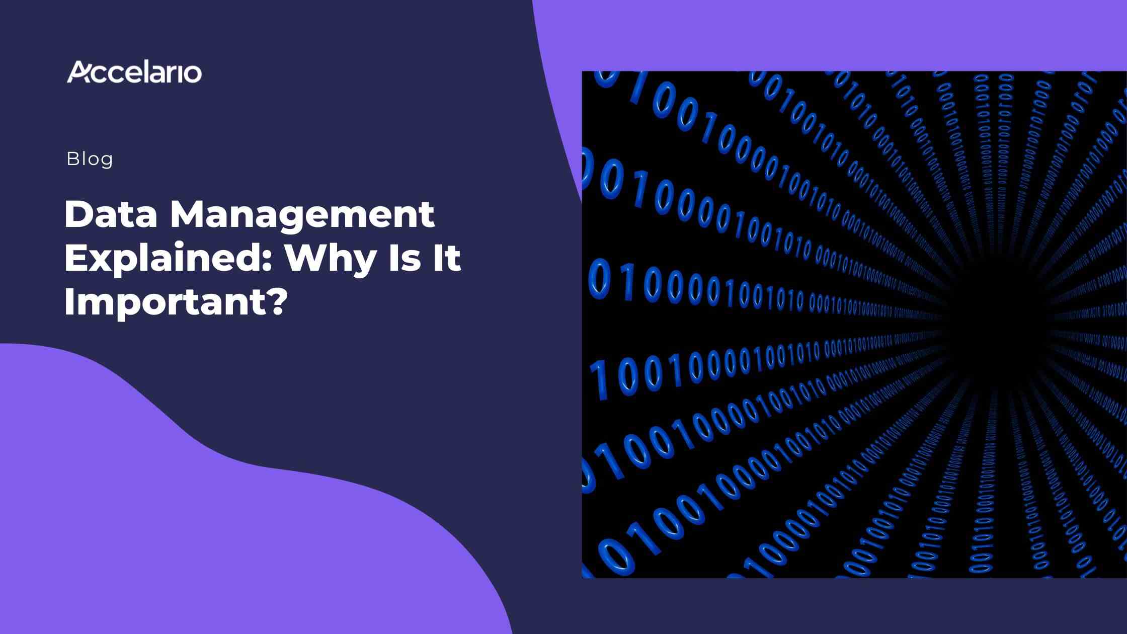 Data Management Explained: Why Is It Important?